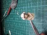 2012-04-09_163543.jpg
