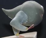 bein_rechts_aves.jpg