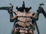 chitin.jpg