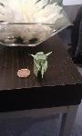 yoda-mini_5.jpg