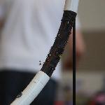 img_6509.jpg