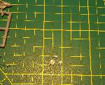 20170218_163008.jpg