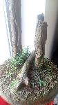 img_20180329_092613.jpg