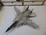 f-14a179.jpg